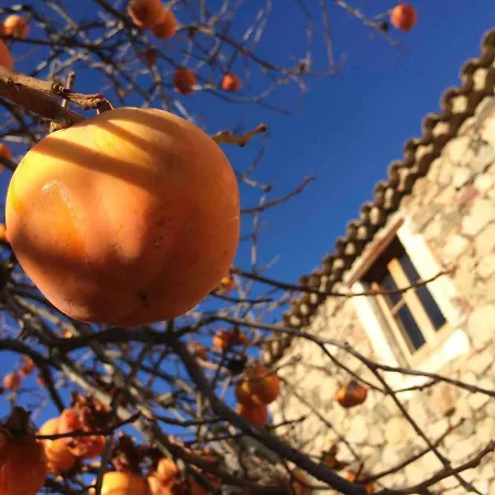 Masia De Vallforners Tagamanent